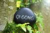 Qigong